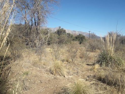 Terreno en Venta en Las Calles