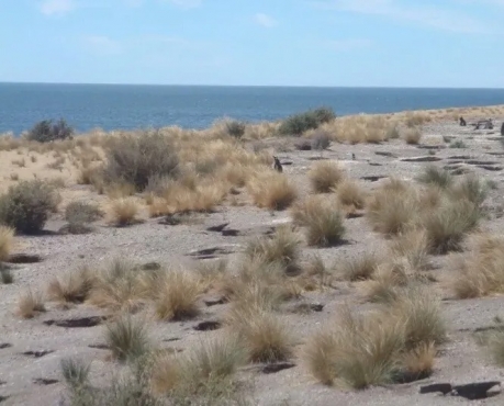 DUEÑO DIRECTO  VENDO TERRENO DE 2170 m2 A METROS DEL MAR.
