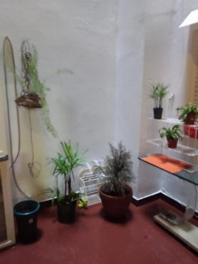 Departamento de 2 ambientes, excelente estado