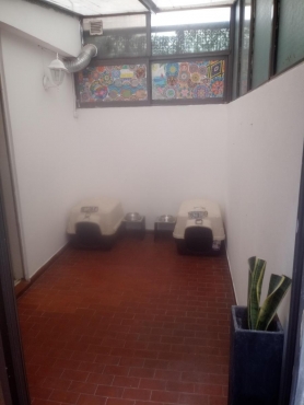 Muy lindo departamento de 2 amplios ambientes y dos patios -  35m²