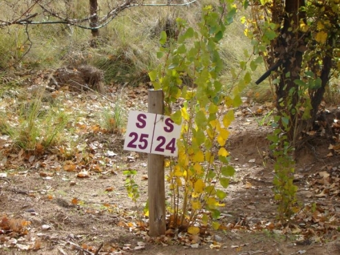 Terreno de 375 m2 (12,5 x 30) en Barrio Las Lilas de Plottier