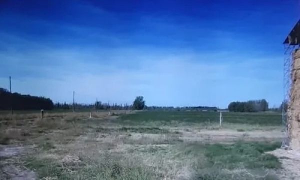  Chacra De 52hs, Luis Beltran Rio Negro. Negociable.