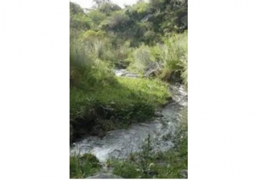 Campo De 150 Has En Churqui Cañada