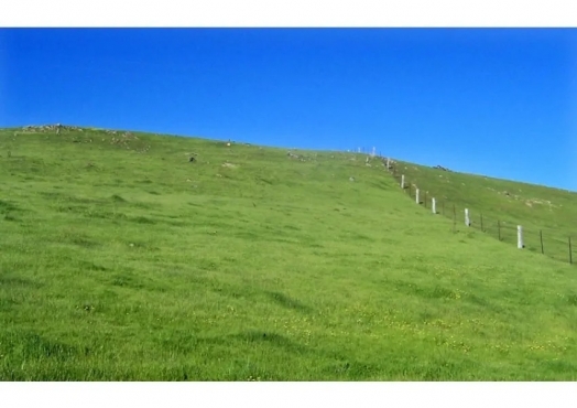 Gran Oportunidad A Un Precio De Ocación