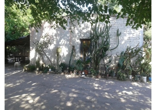 Campo De 33 Has En Alto Verde, Mendoza.