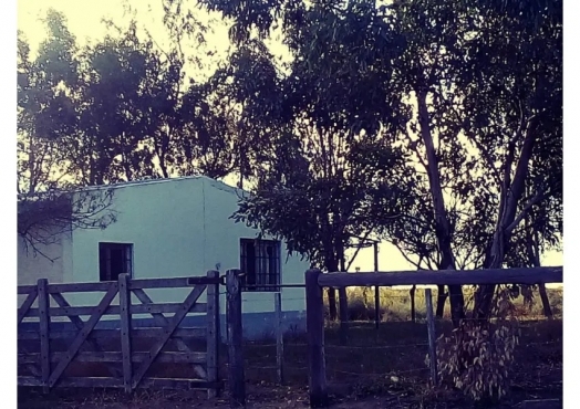 Campo De 93 Hs En Soitue, Mendoza.