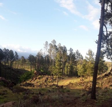 Retasado Campo de Montaña con 400 + m Costa de Río, en San Miguel de Los Ríos Villa Yacanto