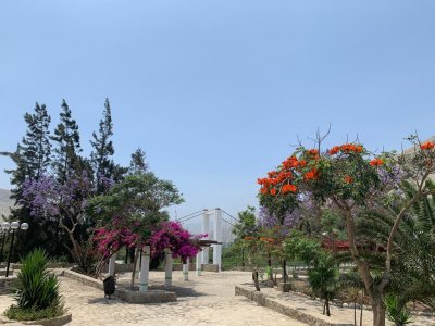 Venta de Terreno en Zona Turistica en Lunahuana