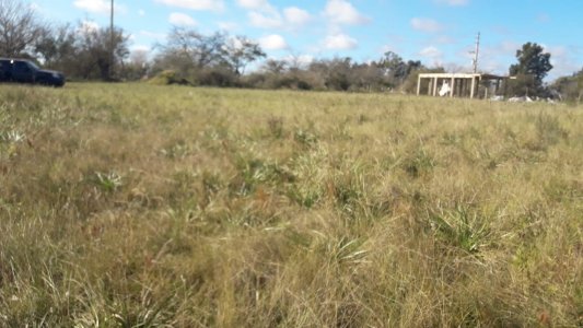 Vendo 6 lotes en Ministro Rivadavia