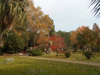 HERMOSA CASA ,TERRENO 9535 m2 A 15 MINUTOS DEL CENTRO DE MONTEVIDEO