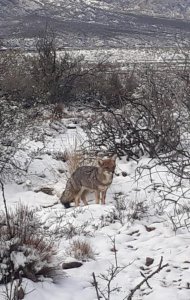 <<<Ecovilla Solar Potrerillos vende terrenos con unas vistas her-mo-sas!!, flora autóctona y energías limpias!!
