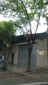 Alquilo galpón 14×8.66mts , DUEÑO DIRECTO