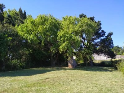 Terreno En La Rambla