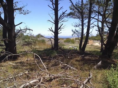 2 solares PLAYA SERENA a 100 mts.del mar.