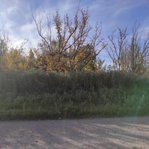 2 HAS Y FRACCION DE 1800 METROS