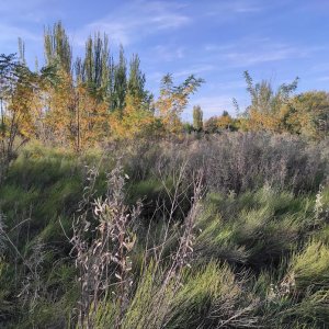 2 HAS Y FRACCION DE 1800 METROS