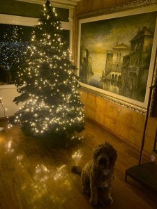 En Venta Bonito Penthouse