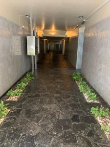 Condesa, Excelente Ubicación