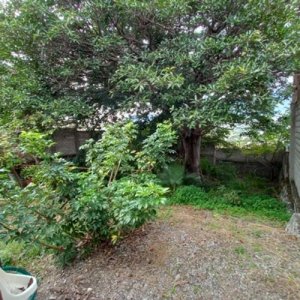 Terreno 840 m² con Barda Perimetral