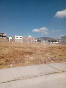 Aproveche 3 Terrenos Juntos Olindo Residencial Irapuato