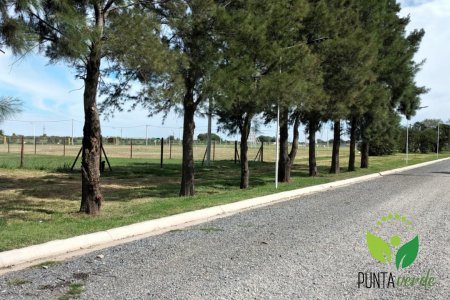 LOTES FINANCIADOS CON POSESION CERCA DE ROSARIO - APTO PROCREAR