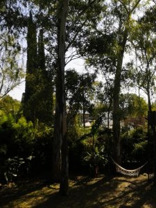 Excelente Lote en Esquina en Exclusiva Zona en Bella Vista