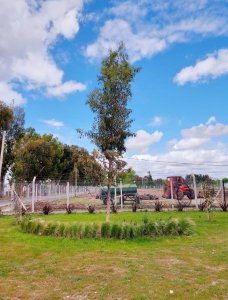 Dueño Directo - Santa Lucia - Terreno