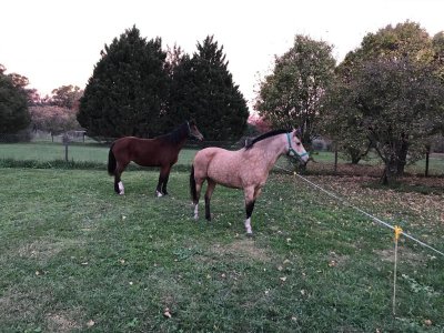 Venta de Lote en Pilar. 2300 m². Zona Ruta 34