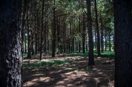 Pinares Lote Premium - Dueño Directo Sin Comisiones, a Meses de Escritura