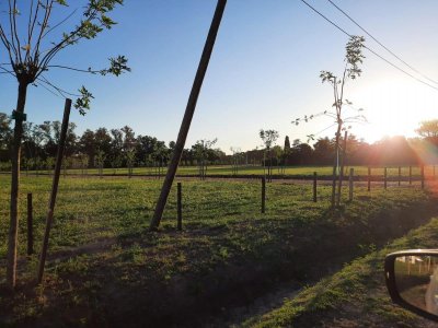 Lote / Terreno en Venta 409 m² en Lobos, Bsas