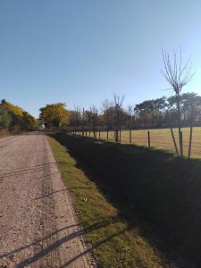 Lote / Terreno en Venta 409 m² en Lobos, Bsas