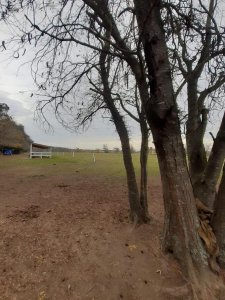 Dueño Vende en Manzanares