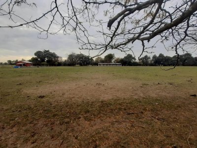 Dueño Vende en Manzanares