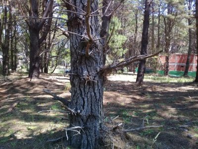 Hermoso Lote Dentro de La Reserva y a 270 m del Mar - Listo Para Escriturar