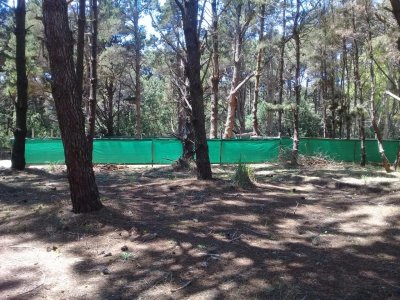 Hermoso Lote Dentro de La Reserva y a 270 m del Mar - Listo Para Escriturar