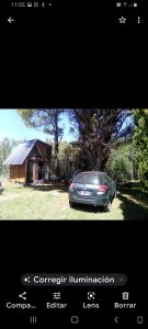 Venta de Terreno Arbolado