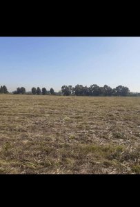 Campo de 10 Hectáreas Dueño Directo con Escritura