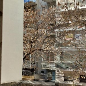 Alquiler Departamento Muy Luminoso