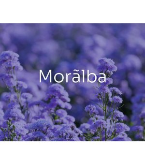 Moralba - Nueva Urbanización
