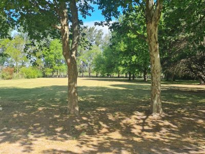 Lote de 3000 m 2 en Harás del Sol Pilar