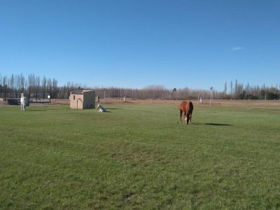 Terrenos de 600 m² en Barrio Los Castaños Plottier