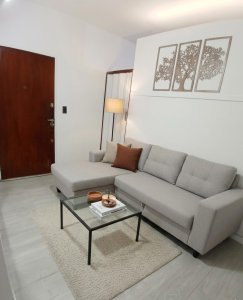 Departamento 1 Ambiente y Medio Dividido (Tipo 2 Amb) - Palermo Hollywood