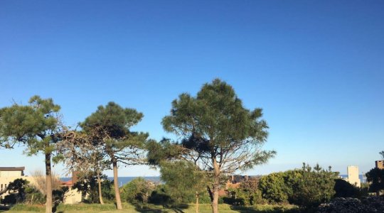 Dueño Alq La Baronesa, 11 Pers, C/piscina, a 1 Cuadra del Mar